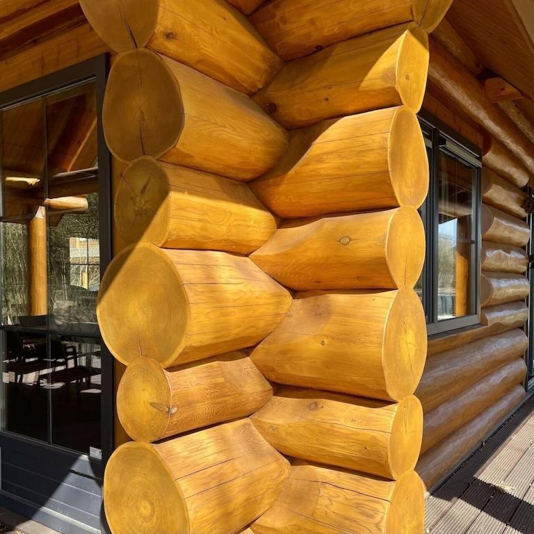 Unieke Houten Villa Met Sauna In Twente - 5P Den Ham Екстериор снимка